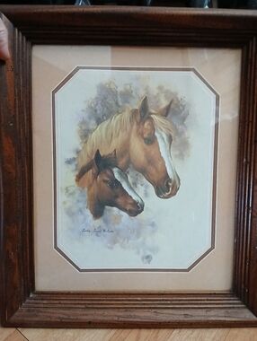 Horse Portrait in Rustic Wood Frame - 11 × 13
